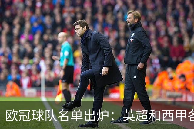 欧冠球队名单出炉：英超和西甲各五队，挪威惊现两队入围